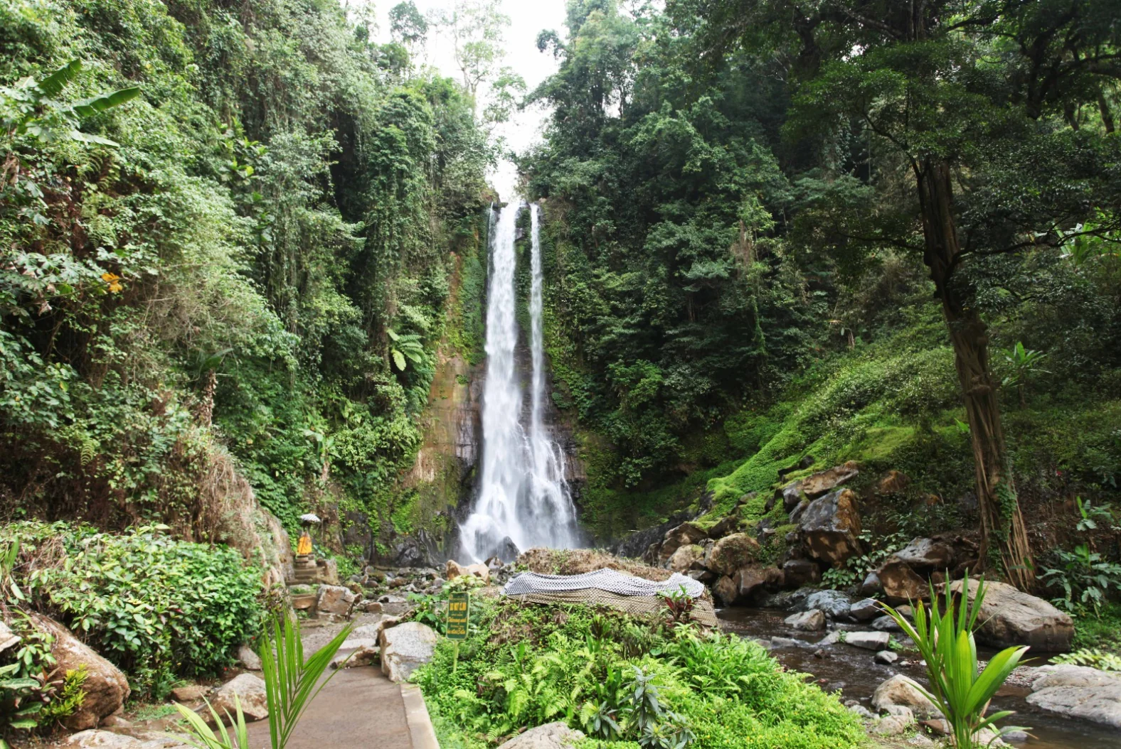 Bali sunrise and wildlife custom tour