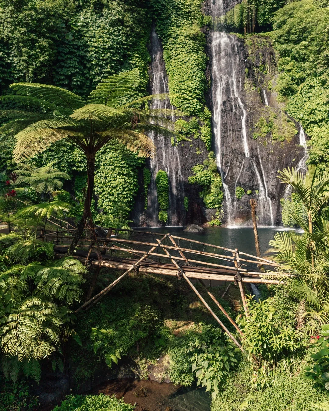 Banyumala Waterfall & Highland Tour — 8 Hours
