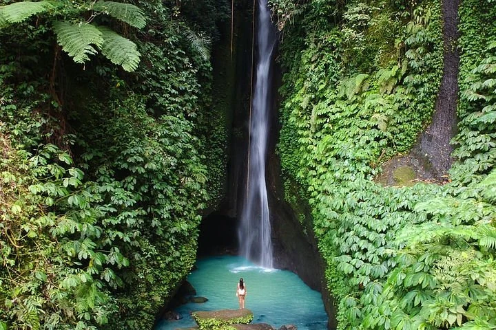 Leke-Leke & Jatiluwih Half-Day Tour — 4 Hours