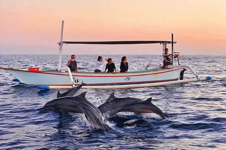 Lovina Dolphin & North Bali Adventure
