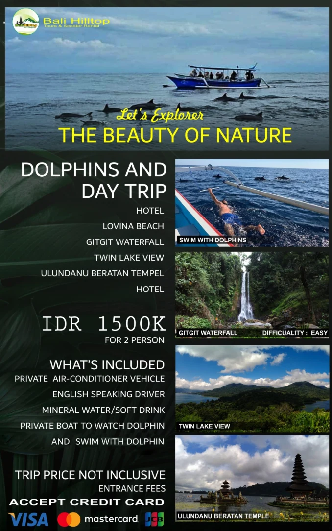 Lovina Dolphin & North Bali Adventure package poster