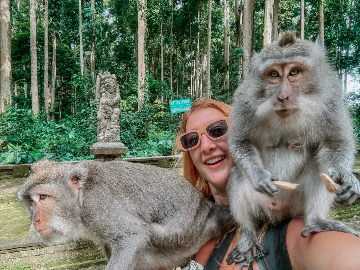 Macaques at Sangeh Monkey Forest