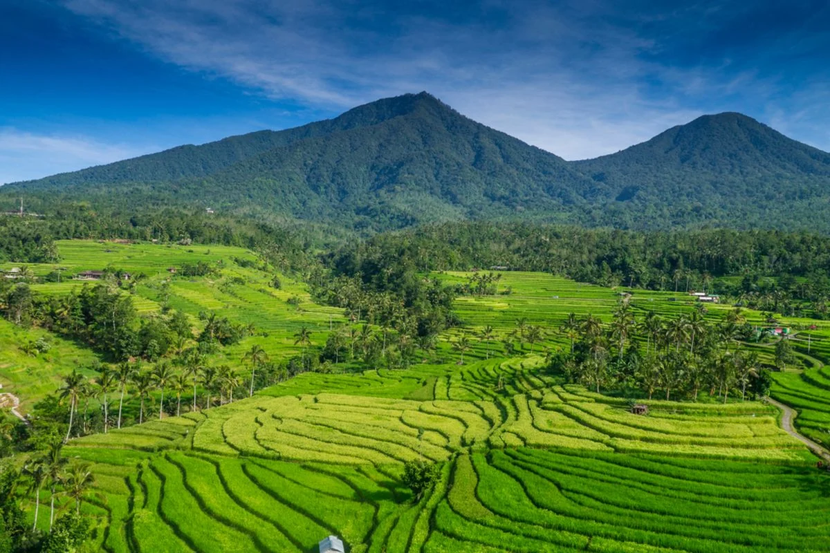 Bali travel planning guide